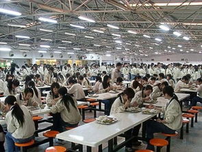 東莞電子廠女工的真實(shí)生活,想進(jìn)電子廠的可以先了解一下