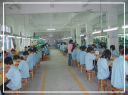 深圳電子產(chǎn)業(yè)中的榮華達(dá)電子廠 專業(yè)與創(chuàng)新的代表